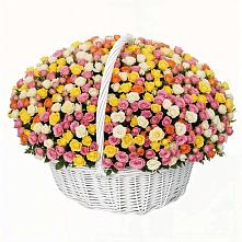 Премиум букет из: Розы в Радищево