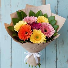 Букет цветов из:  Герберы #REPLACE_PRED# Радищево