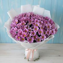 Букет цветов из:  Хризантемы в Радищево