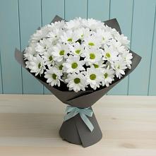 Букет цветов из:  Хризантемы #REPLACE_PRED# Радищево